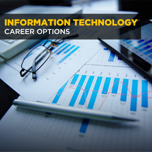 Information Technology Career Options