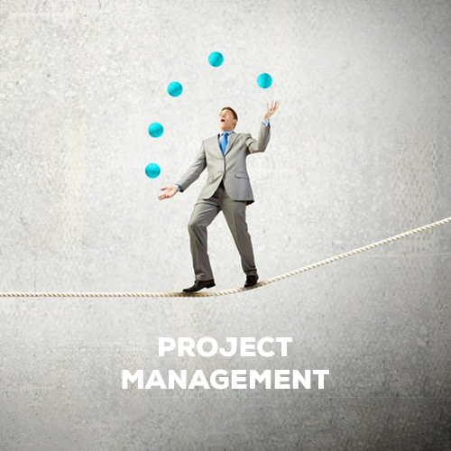WHAT IS PROJECT MANAGEMENT?
