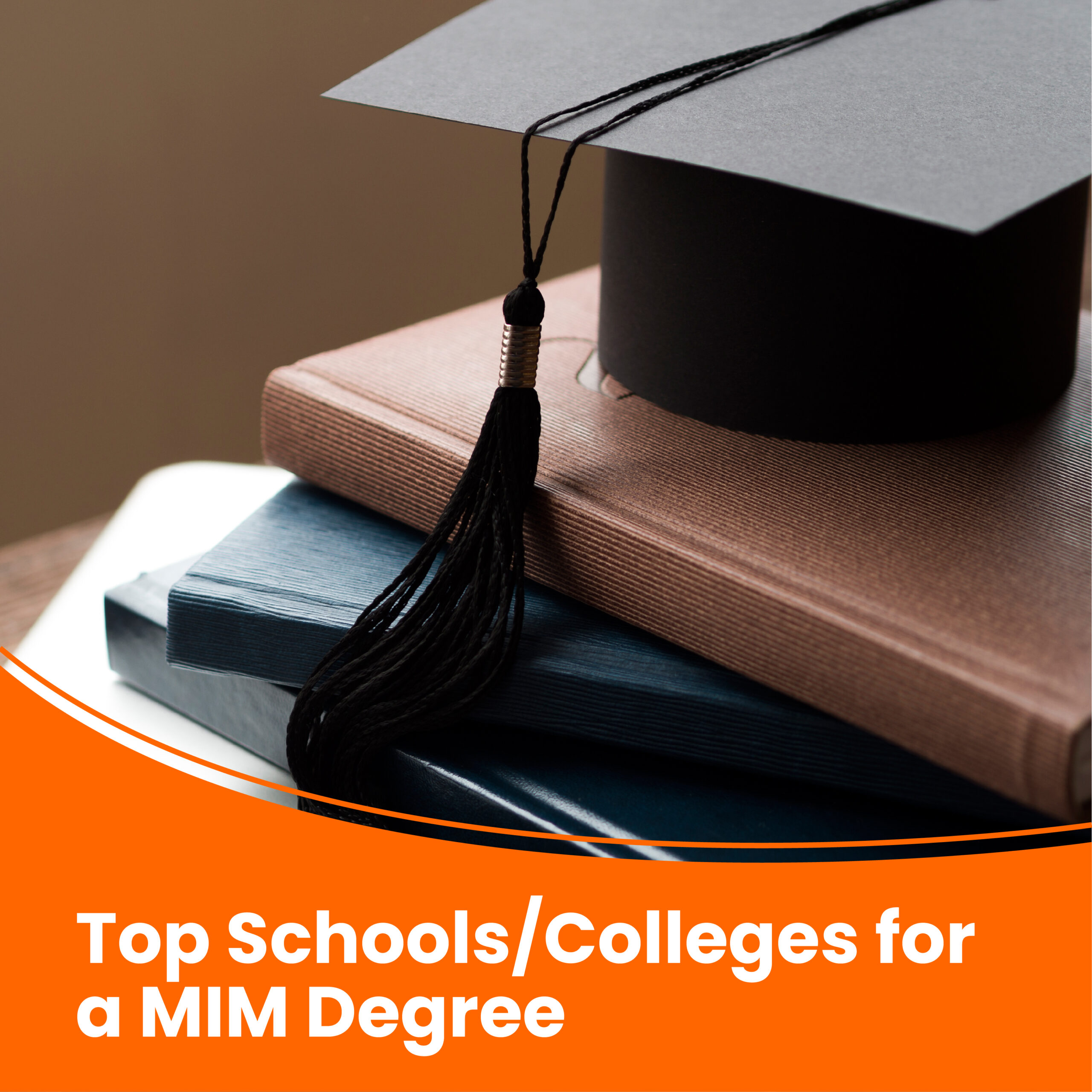 Top schools/Colleges for a MIM degree