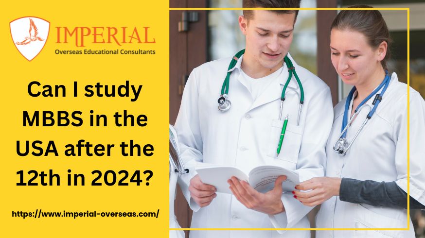 Can I study MBBS in the USA after the 12th in 2024?