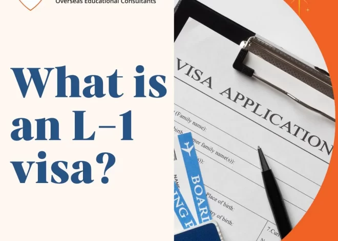 What is an L-1 visa?