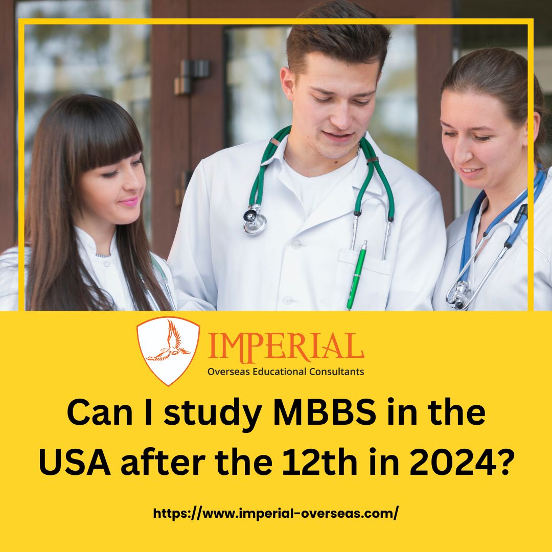 Can I study MBBS in the USA after the 12th in 2024?