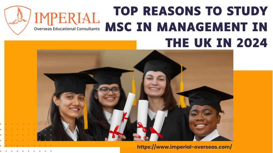 Top Reasons to Study MSc in Management in the UK in 2024