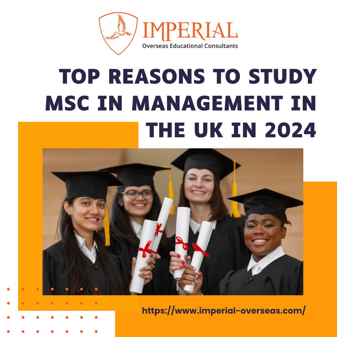 Top Reasons to Study MSc in Management in the UK in 2024