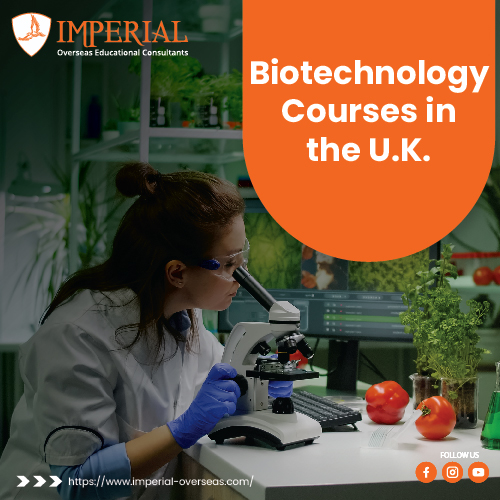 Biotechnology Courses in the U.K.