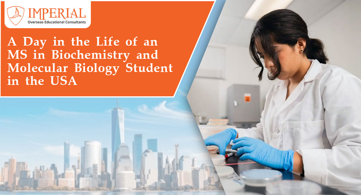 A Day in the Life of an MS in Biochemistry and Molecular Biology Student in the USA