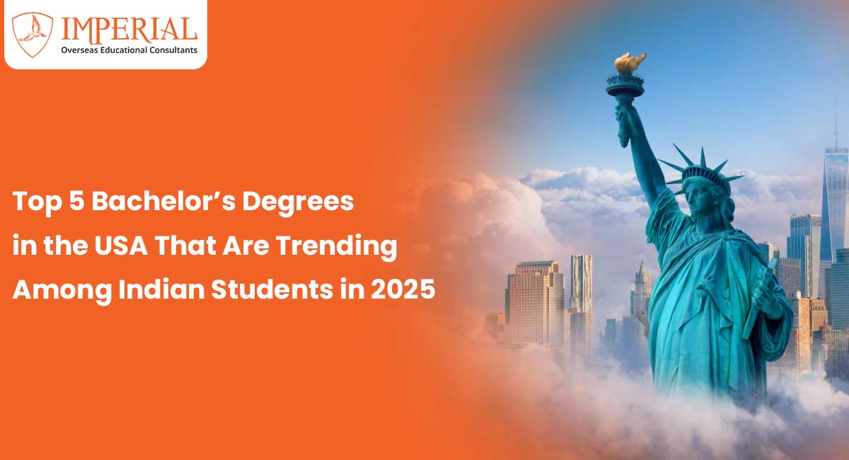 Top 5 Bachelor’s Degrees in the USA