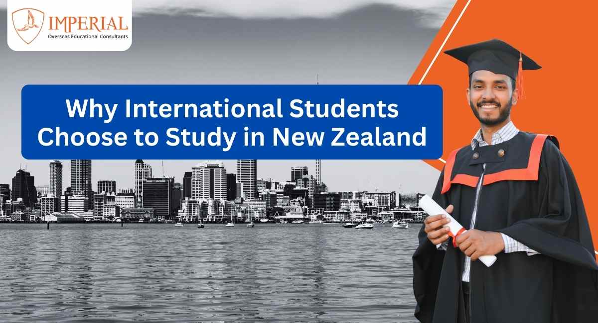 Why International Students Choose to Study in New Zealand